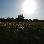 Al Piano Todi