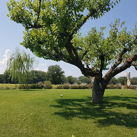 Al Piano Apartamento Todi