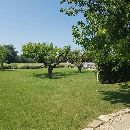 Al Piano Todi