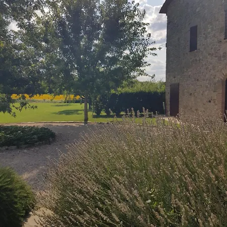 Al Piano * Todi